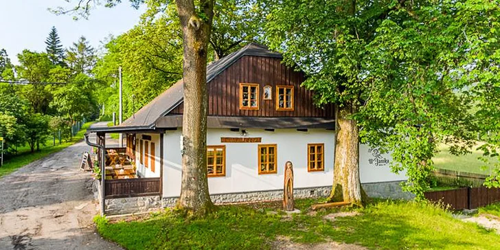 Tatarák v tradiční valašské hospodě: 100–400 g hovězí svíčkové z českého chovu