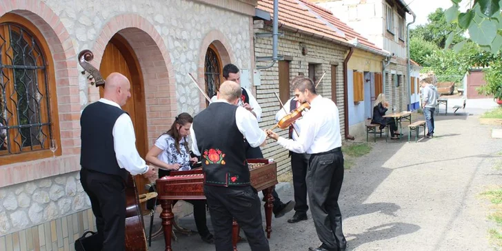 Postavme výtah seniorům: s Wohnoutama na tour, Václav Žmolík a otevřené sklepy