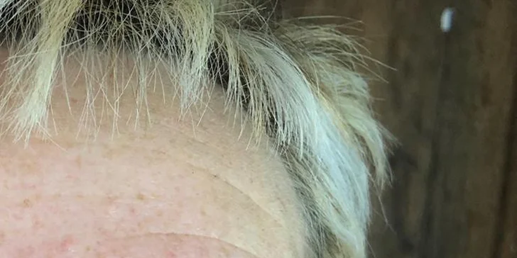Zvýraznění obočí: microblading neboli permanentní make-up vláskováním