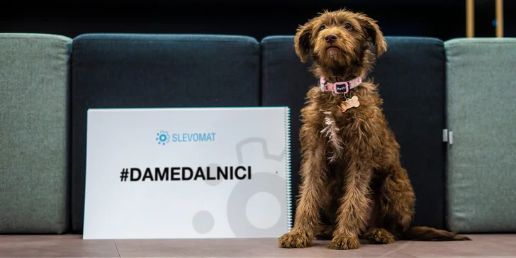 Dáme dálnici! Pojďme se složit na opravu D1