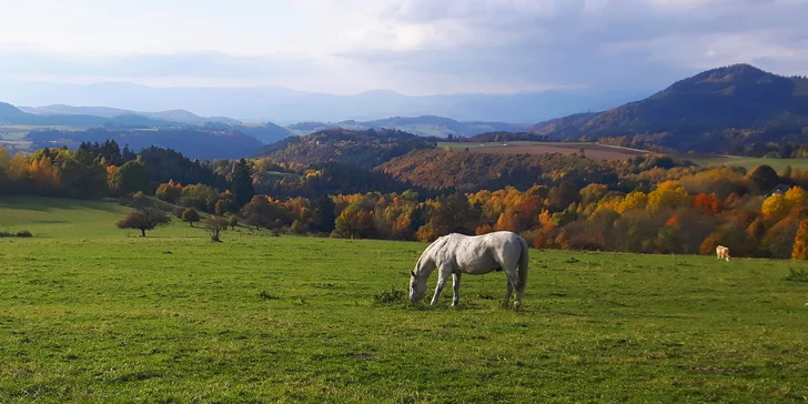 Dovolená na ranči v Nízkých Tatrách s možností wellness i jízdy na koni