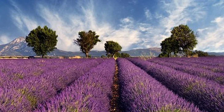 Poznejte krásy francouzské Provence na kole - osmidenní zájezd do Francie