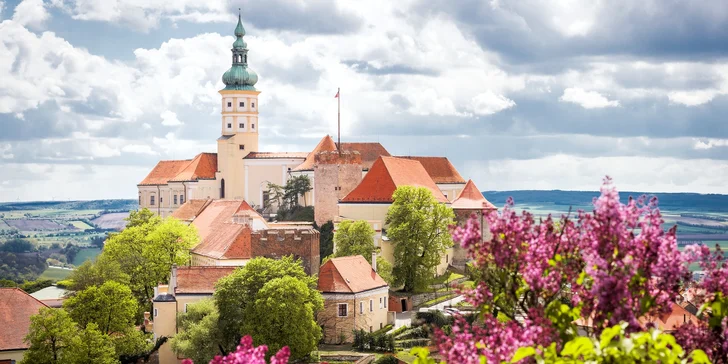 Pobyt v penzionu v blízkosti Pálavy: skvělé jídlo i degustace vína