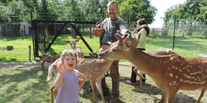 Při procházce zoocentrem vás přivítají mufloni, kozy bezoárové, dybowští jeleni, srnky a daňci. 