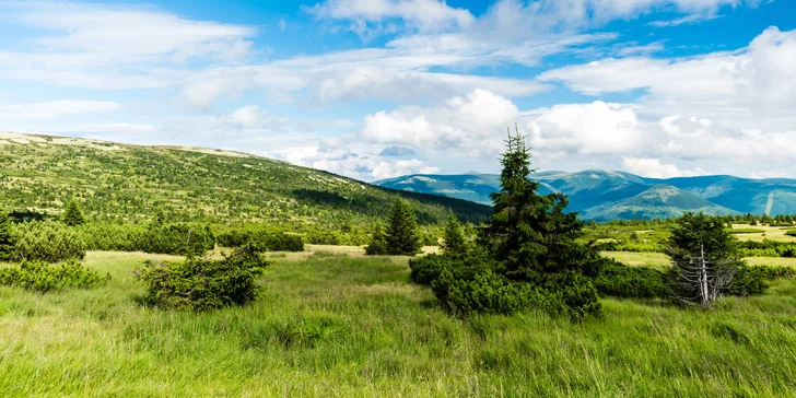 Pobyt v Peci pod Sněžkou: polopenze, sauna a 1 dítě do 11,9 let zdarma