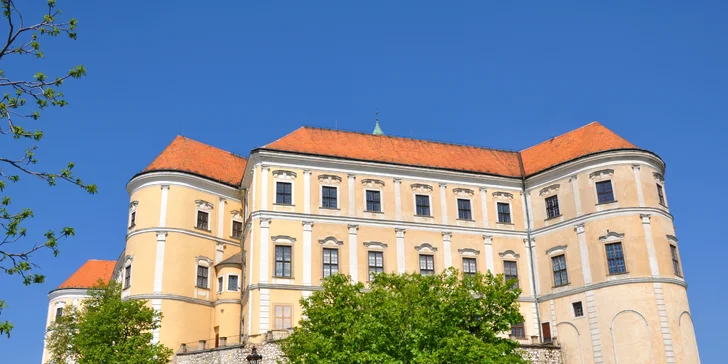 Romantika na vinicích jižní Moravy: pobyt v novém penzionu se snídaní pro 2