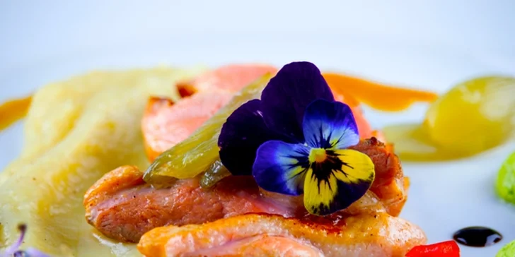 5chodové menu: kačeří prsíčka na vanilce, třeboňský pstruh i hruškový koláč