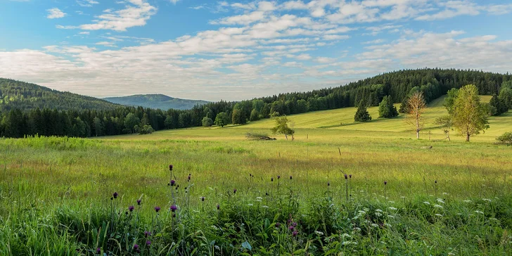 Rodinný penzion na Chodsku u Českého lesa: polopenze, cyklistika, hřiště i venkovní bazén