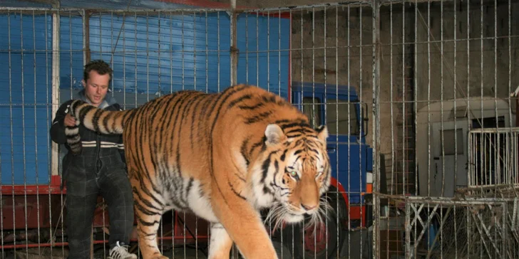 Víkendové komentované vystoupení se zvířátky a prohlídka parku