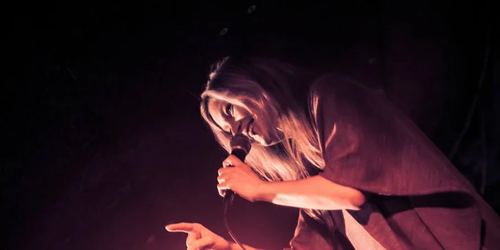 Zasmějte se: vstupenka na stand up comedy Show Stání