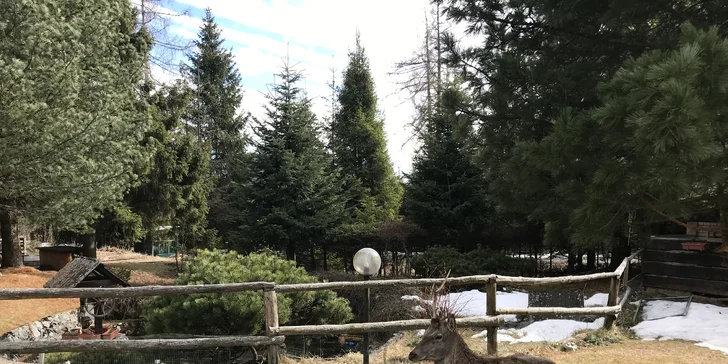 Aktivní pobyt ve Vysokých Tatrách: rodinný penzion, slevy do aquaparků