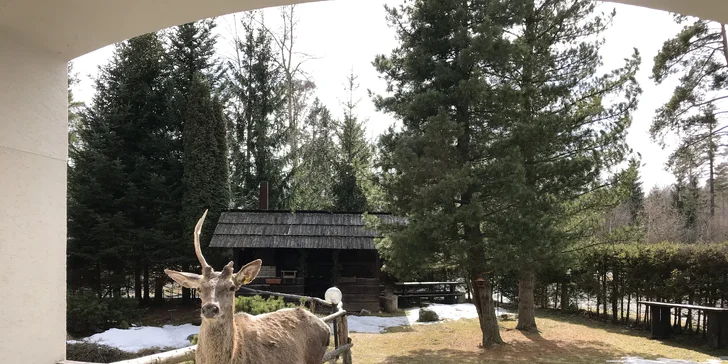 Aktivní pobyt ve Vysokých Tatrách: rodinný penzion, slevy do aquaparků