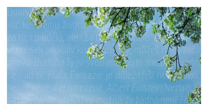 Postavme výtah seniorům: Grand Prix, koncert klasiky i Divadlo Bolka Polívky