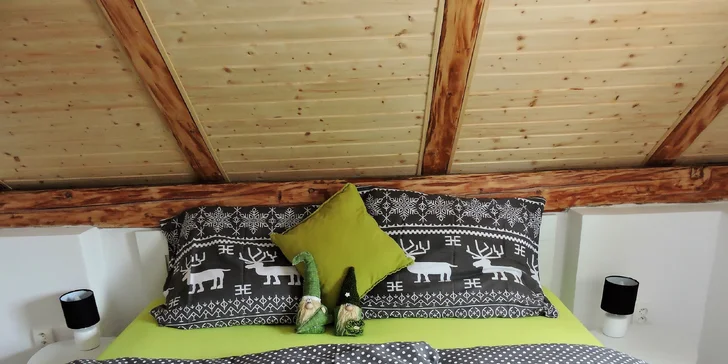 Jaro nebo podzim v moderní chatě pro až 8 osob pod vrcholky Jeseníků