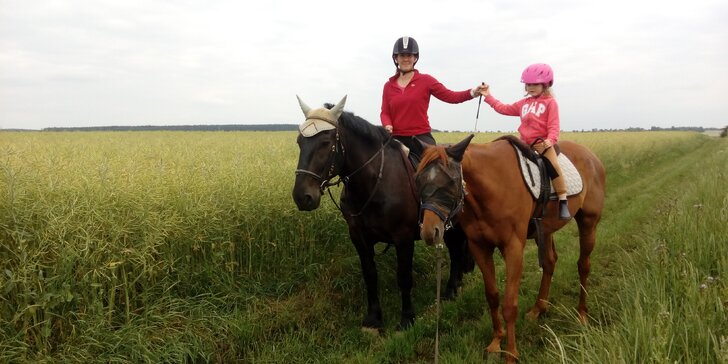 Svět ze sedla: projížďka v přírodě na koni pro děti i dospělé