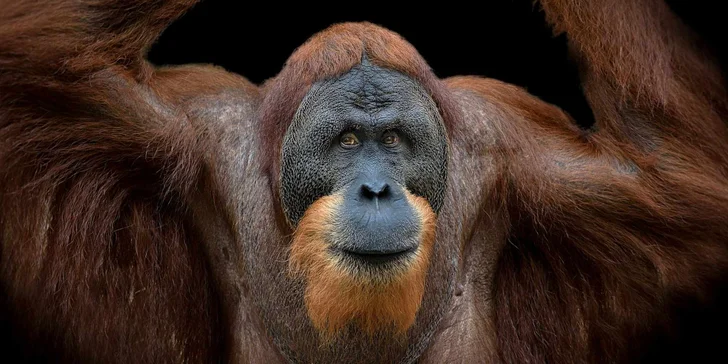 Za den fotografem: fotografické kurzy v pražské zoo nebo centru Prahy