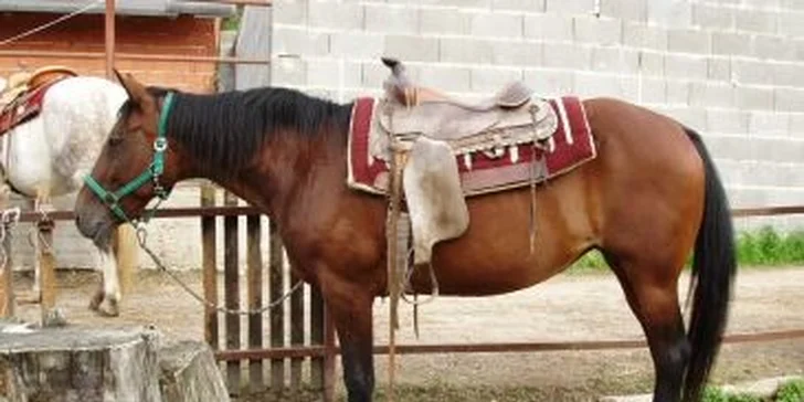 Hodinová jezdecká lekce nebo vyjížďka pro DVA