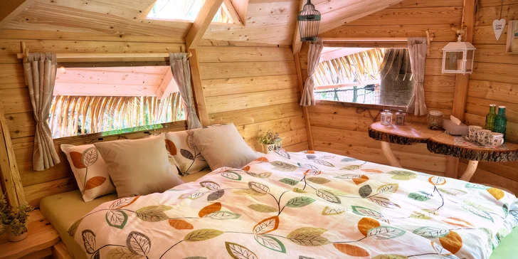 Treehouse u lázeňského města Trenčianske Teplice: snídaně i vstup do wellness nebo masáž