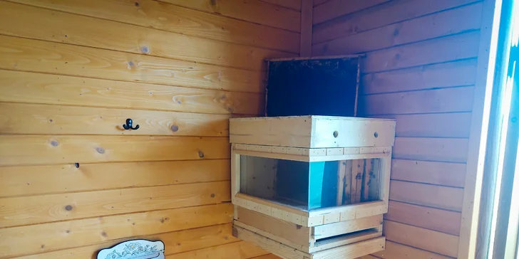Spestrením pobytu v apidomčeku sú dve včelie televízie, v ktorých budete môcť sledovať život v úli