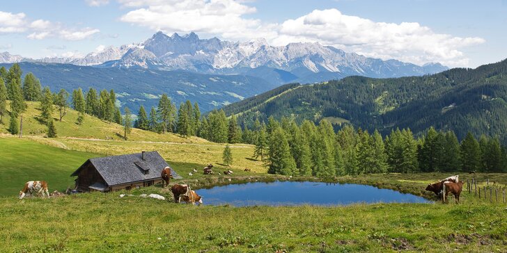 Pohoda v rakouských Alpách v apartmánu pro rodinu či partu přátel
