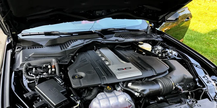 Jízda v nadupaném Fordu Mustang GT 2019: 30-60 minut nebo celý den