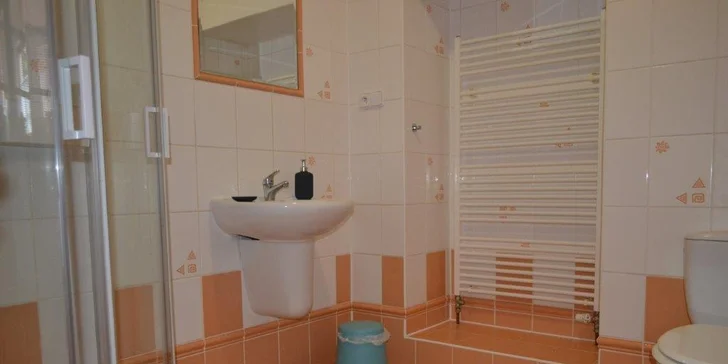 Objevujte krásy Šumavy: vybavené apartmány pro 4, gril, bohaté vyžití