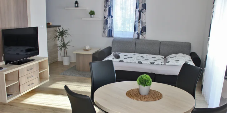 Všechny apartmány mají televizi, minibar, klimatizaci, žehličku a fén. (Apartmán U Bromildy)