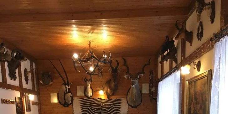 Poznejte půvabné Jeseníky: penzion se snídaní, skvělé místo na výlety