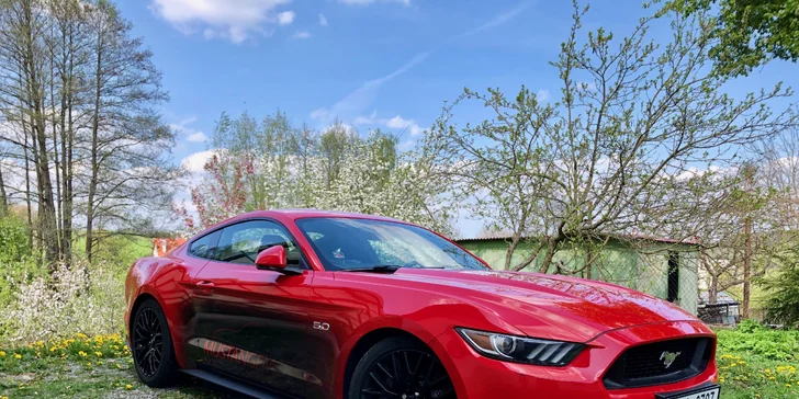 Zkroťte 850 koní: jízda ve Fordu Mustang GT Roush či pronájem na 24 hodin