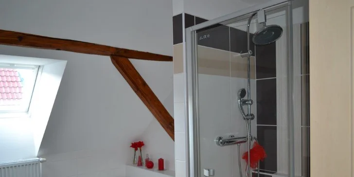 Objevujte krásy Šumavy: vybavené apartmány pro 4, gril, bohaté vyžití