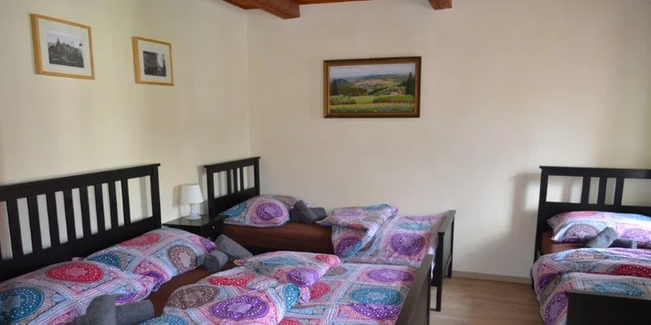 Objevujte krásy Šumavy: vybavené apartmány pro 4, gril, bohaté vyžití