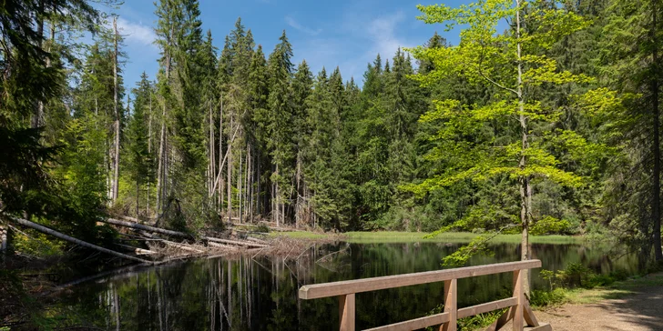 Objevujte krásy Šumavy: vybavené apartmány pro 4, gril, bohaté vyžití