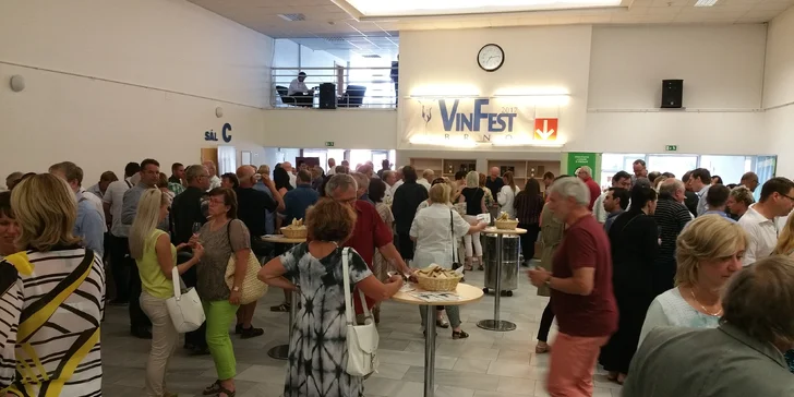Vstupenka na VinFest Brno 2020: ochutnávka vín, sýrů a Horňácká cimbálová muzika k tomu