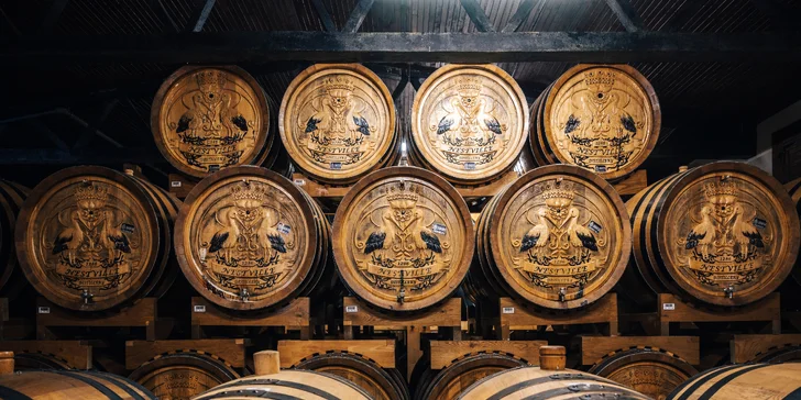 Své chuťové pohárky osvěžíte degustací čokolády, piva či destilátů Nestville Distillery.