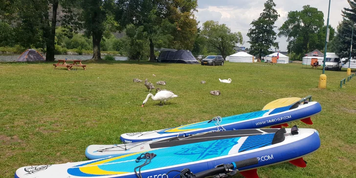 Zapůjčení paddleboardu na 1 hodinu nebo celou otevírací dobu pro 1 i 2 os.