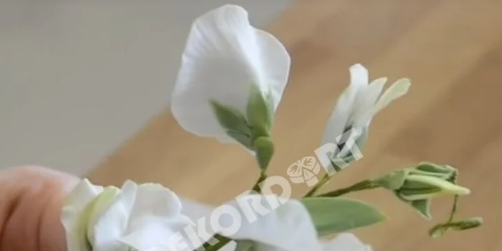 Kurz zdobení a potahování dortů nebo pro modelování květin