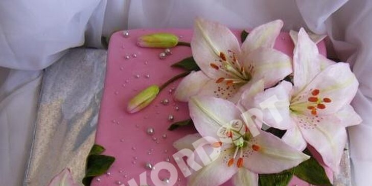 Kurz zdobení a potahování dortů nebo pro modelování květin
