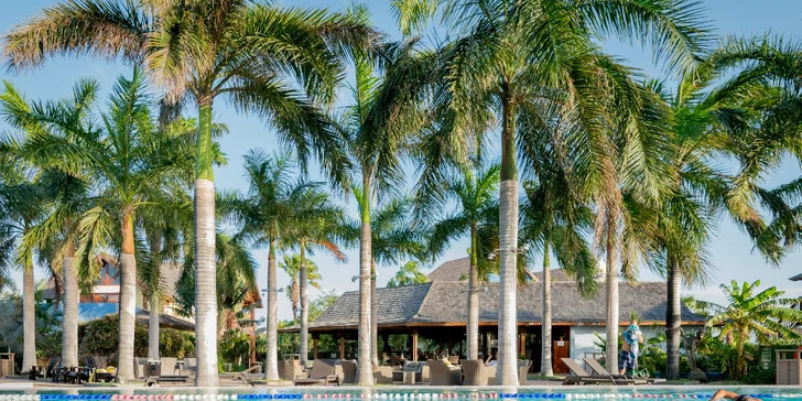 Karibský ostrov Curaçao: 7–13 nocí ve 4* resortu se snídaní a spa centrem