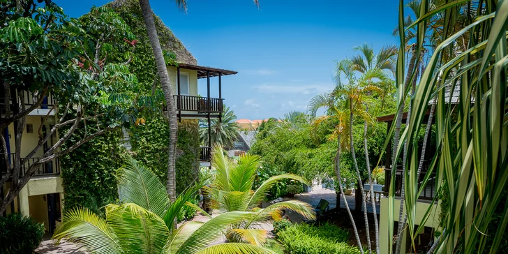 Karibský ostrov Curaçao: 7–13 nocí ve 4* resortu se snídaní a spa centrem
