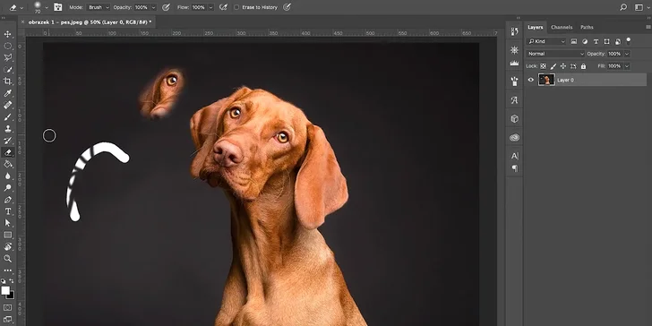 Od perfektní práce s nejpoužívanějším editorem na světě vás dělí jen jediná online lekce, případně celý kurz. 