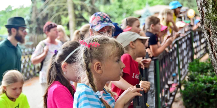 Komentovaná prohlídka zookoutku Chuchle i s poznávačkou a krmením zvířat