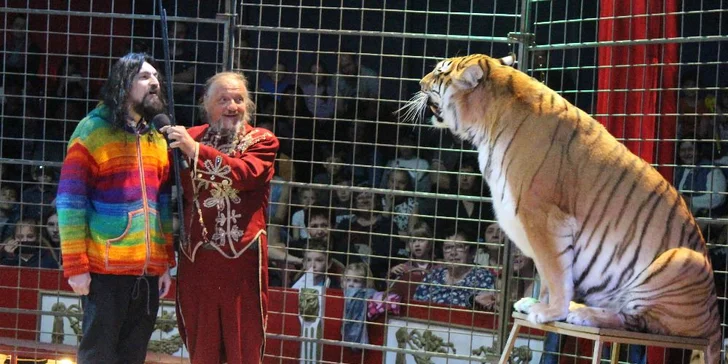 Cirkus Jo-Joo: představení Stroj času pro děti i dospělé