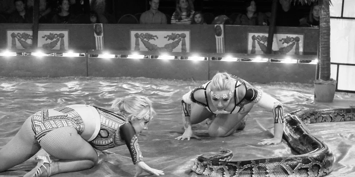 Cirkus Jo-Joo: představení Stroj času pro děti i dospělé