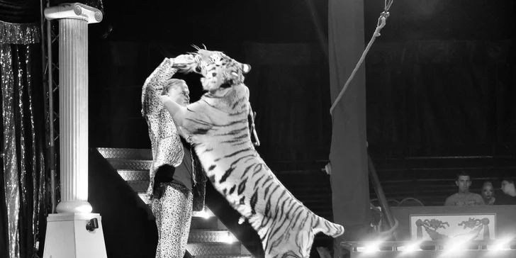 Cirkus Jo-Joo: představení Stroj času pro děti i dospělé