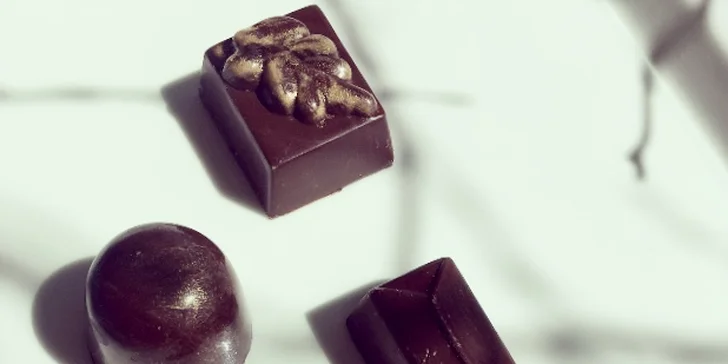 2–3 dny u Mladé Boleslavi s jídlem, degustací vín i privátním wellness