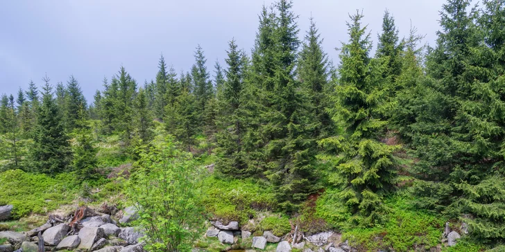 Pobyt v krásné přírodě Frýdlantského výběžku i se snídaní či polopenzí