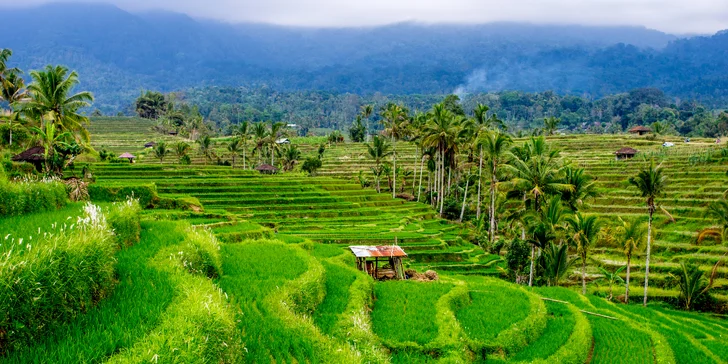 Dámská jízda na Bali: 9 nocí v 3* hotelech se snídaní, koupáním a výlety