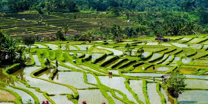 Dámská jízda na Bali: 9 nocí v 3* hotelech se snídaní, koupáním a výlety