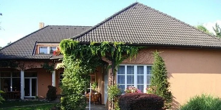 Krása a relaxace 3 v 1 - RFlifting obličeje, masáž, přístroj. lymfodrenáž