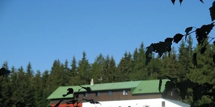 Týdenní pobyt se snídaní v Krkonoších - Na samotě u lesa